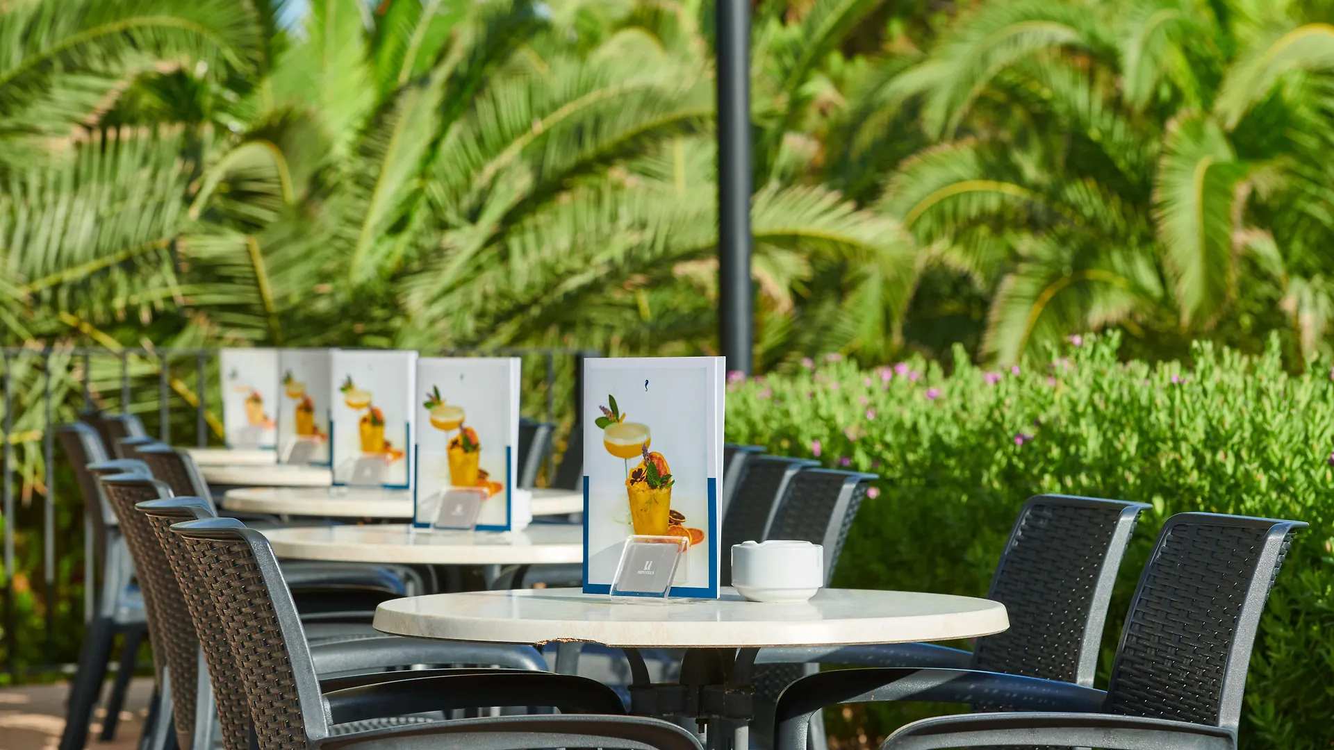 Hipotels Mediterraneo Club Sa Coma  4*, Sa Coma (Mallorca) İspanya