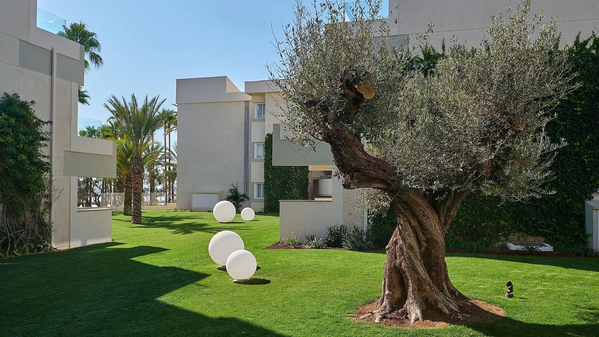 Hipotels Mediterraneo Club Sa Coma  Resort